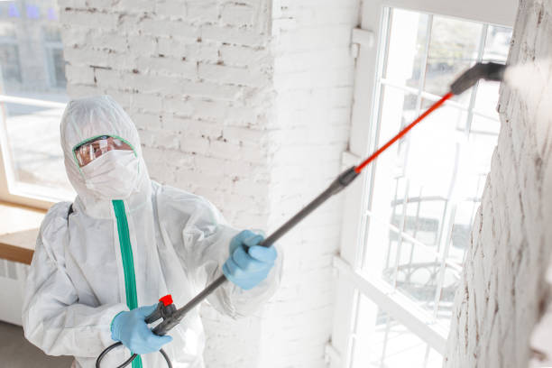 Mold Remediation for Vacation Homes in Riverside, PA