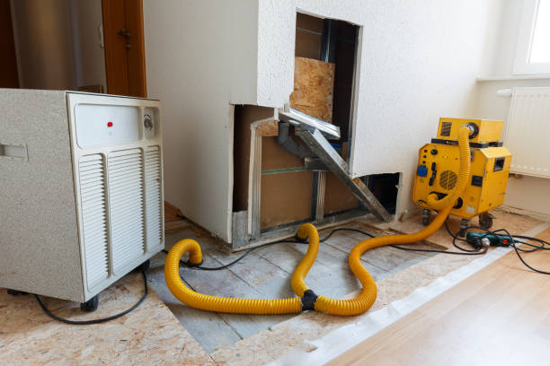 Best HVAC Mold Inspection and Cleaning  in Riverside, PA